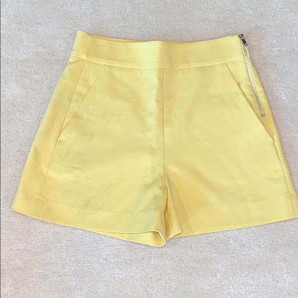 Zara Pants - Zara Shorts Excellent Condition!
